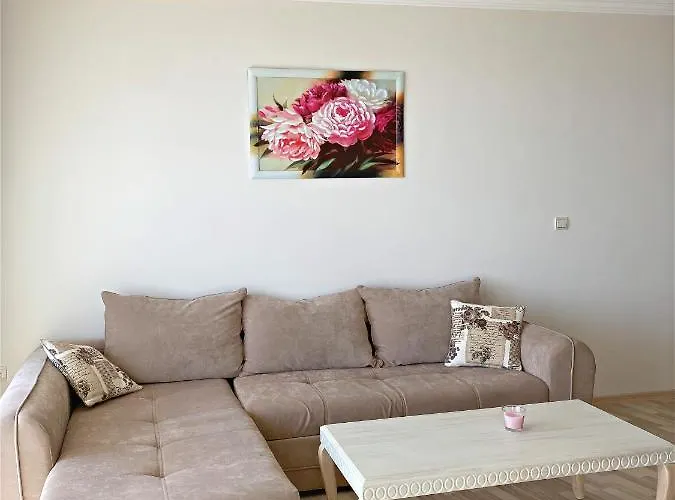 Private Super By Sea In ! 帕莫瑞